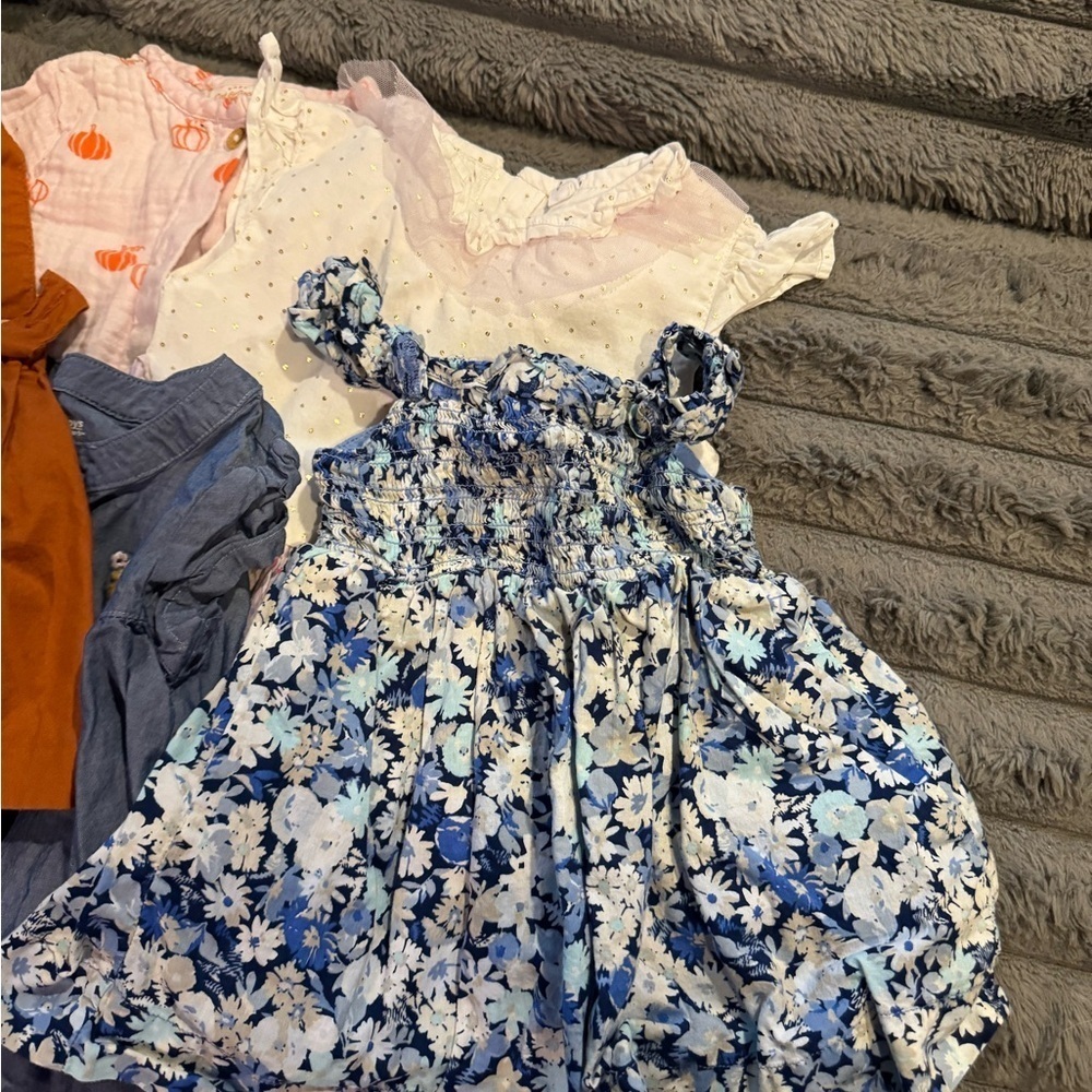 Bundle of Girls Dresses Range 3 Months to 3T - Picture 8 of 14